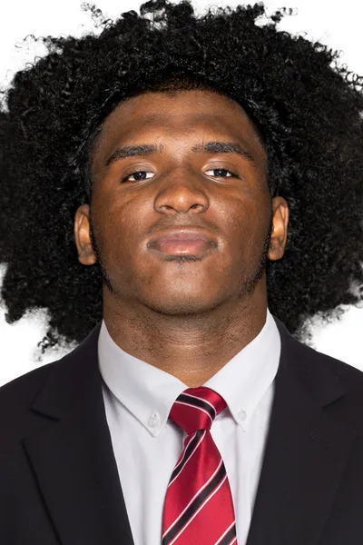 Rj Johnson