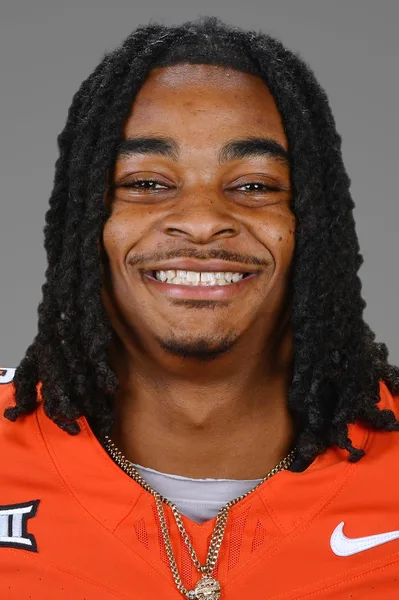 Ladainian Fields