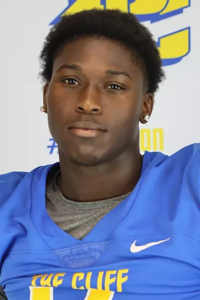 Brandon Destin