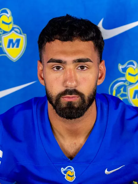 Mohammad Berro