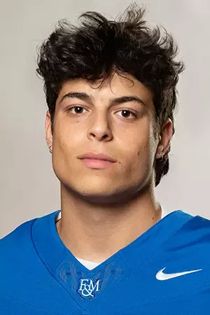 Henrique Guicardi