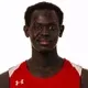 Alier Agau