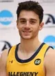 Vinnie Depaula